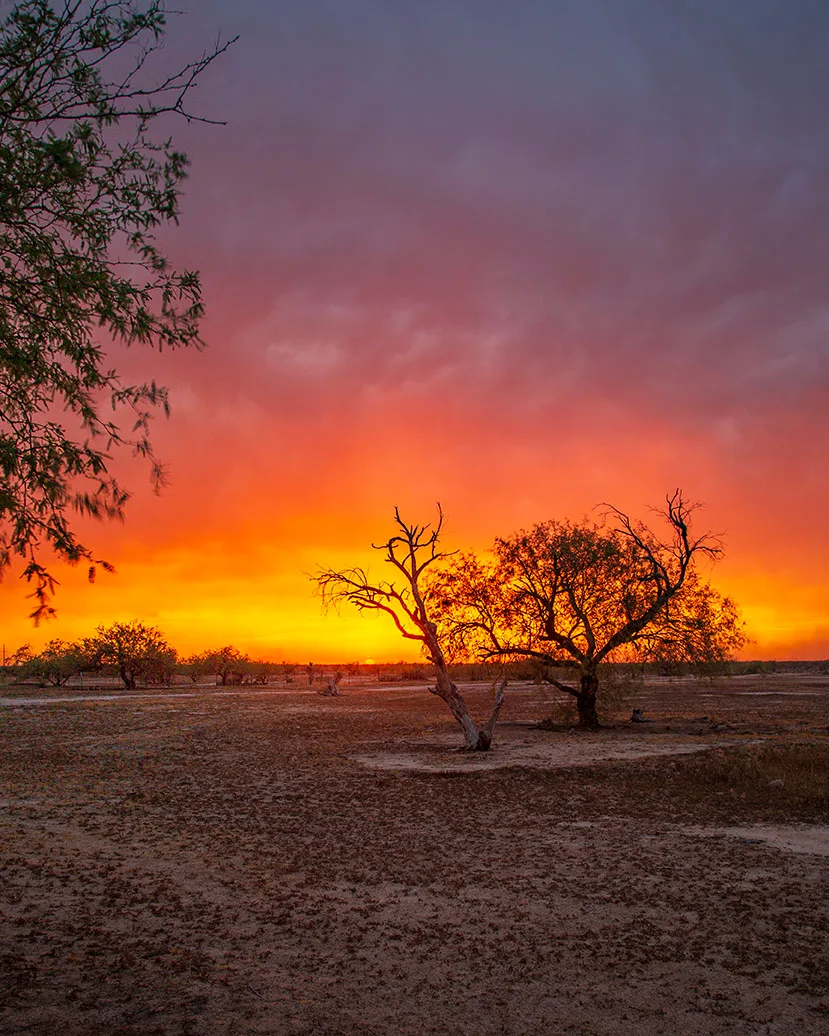 Stagecoach Sunset, a fine art photograph by Janell Evelyn Baca, Casa de Baca Studios, Florence, Arizona