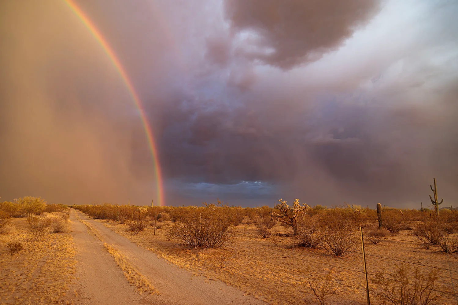 Stormy Rainbow off Highway 79, lightning, a fine art photograph by Janell Evelyn Baca