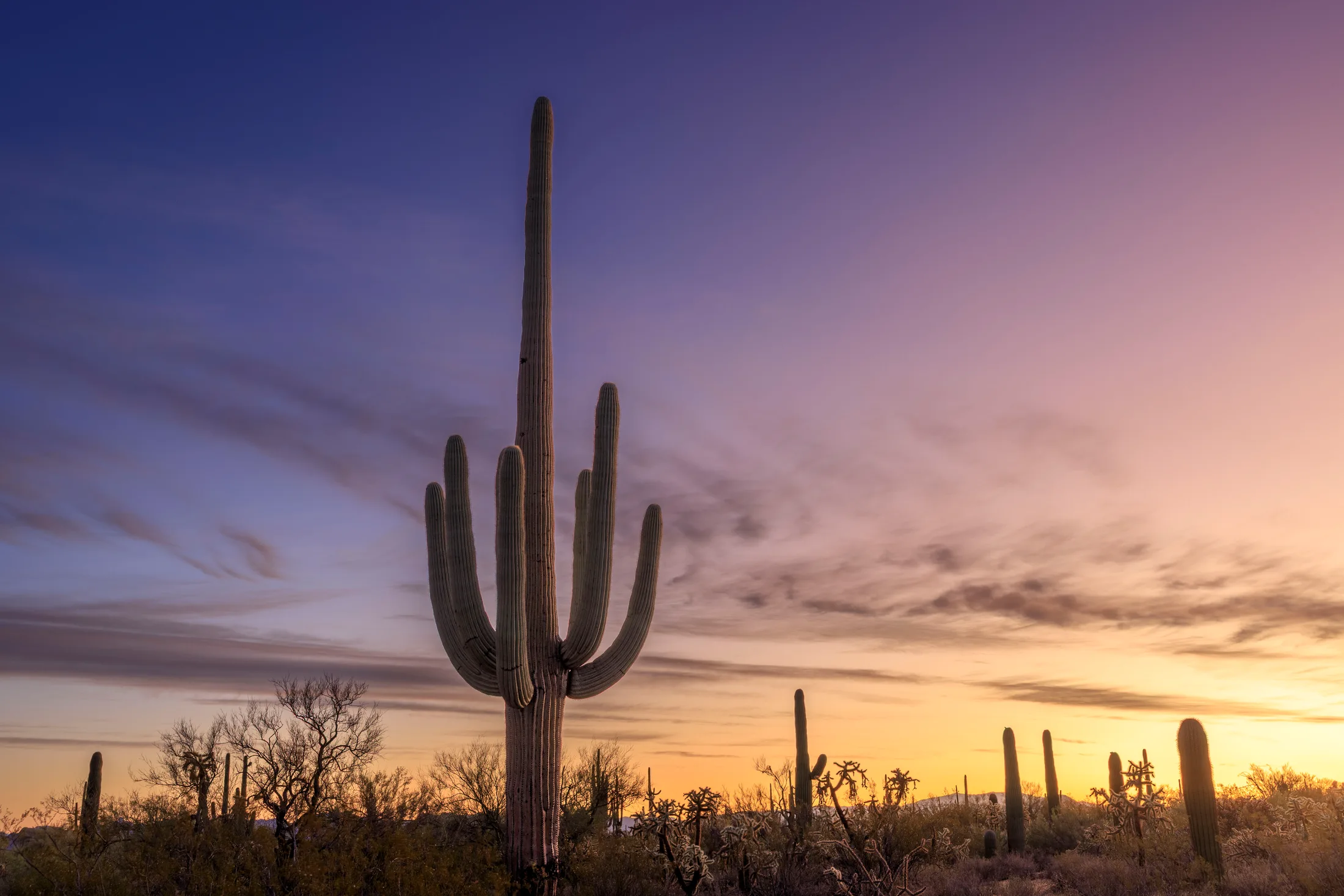 Sunrise East of Florence, sunset and sunrise, a fine art photograph by Michael Joseph Baca