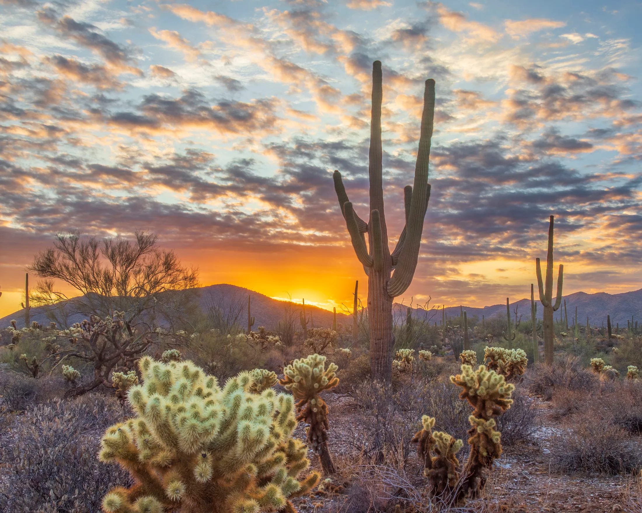 Sunrise Queen Valley AZ, sunset and sunrise, a fine art photograph by Michael Joseph Baca