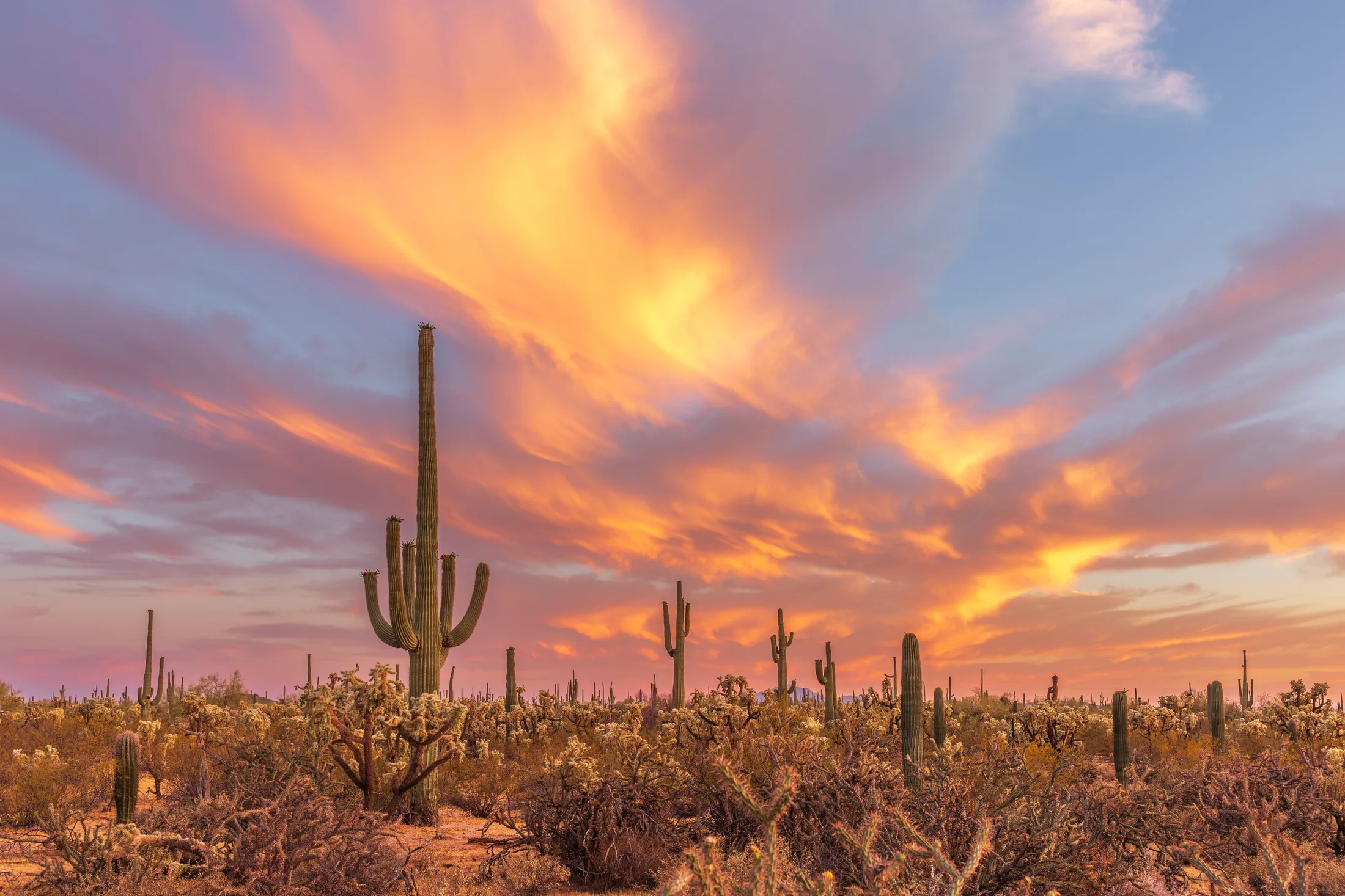 Sunset Florence, a fine art photograph by Michael Joseph Baca, Casa de Baca Studios, Florence, Arizona