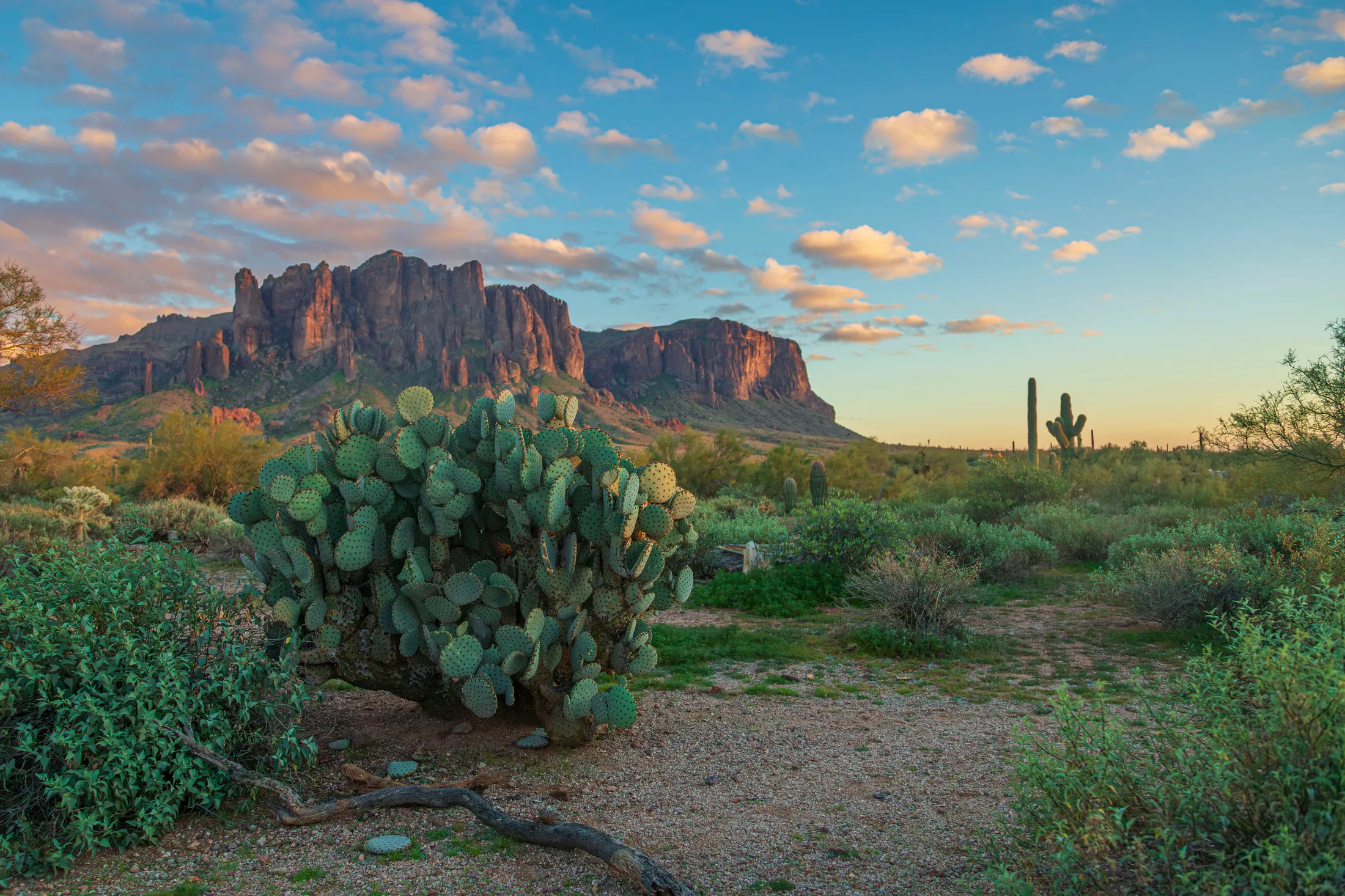 Sunset Lost Dutchman State Park, a fine art photograph by Michael Joseph Baca, Casa de Baca Studios, Florence, Arizona