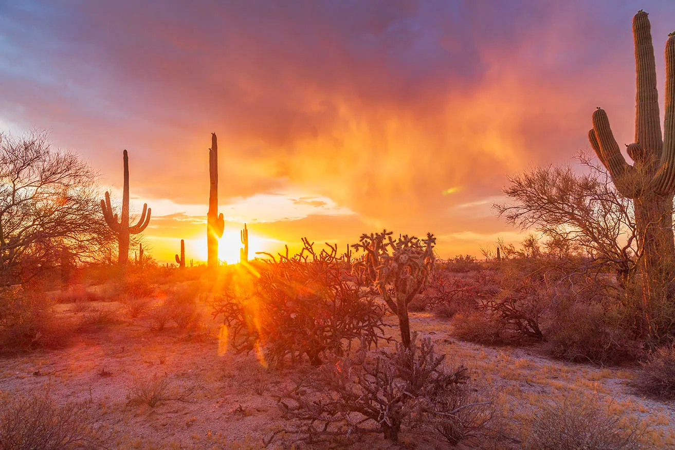 Sunset off Florence Kelvin Highway, a fine art photograph by Janell Evelyn Baca, Casa de Baca Studios, Florence, Arizona