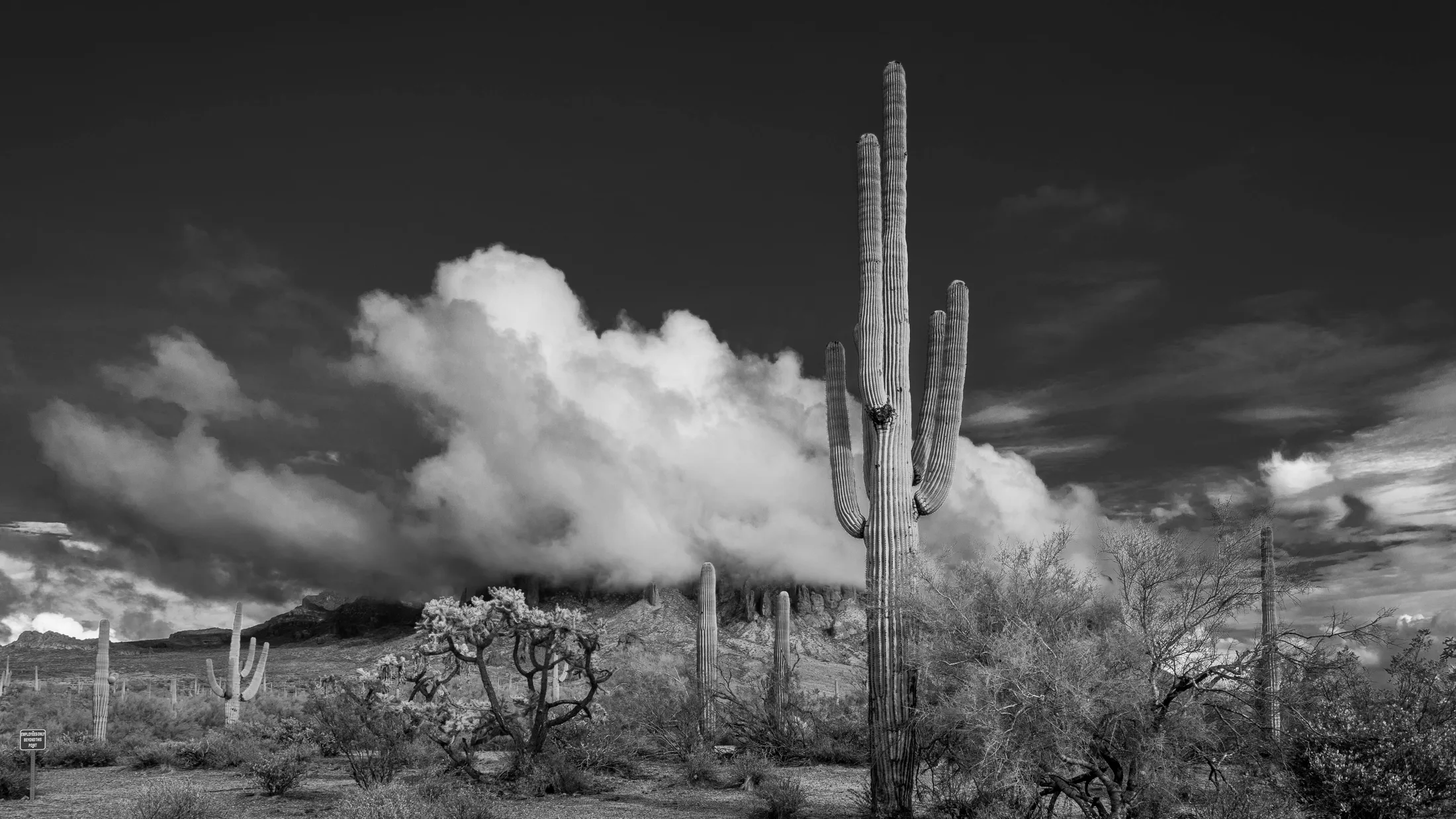 Superstition Wilderness Arizona, landscape, a fine art photograph by Michael Joseph Baca