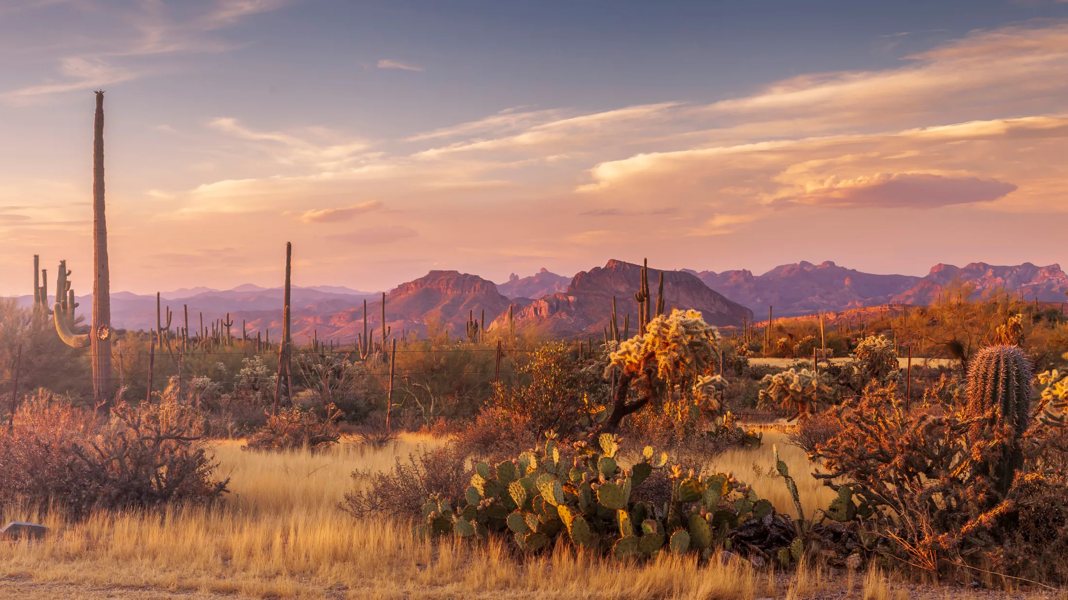 The Buttes Florence AZ, sunset and sunrise, a fine art photograph by Michael Joseph Baca