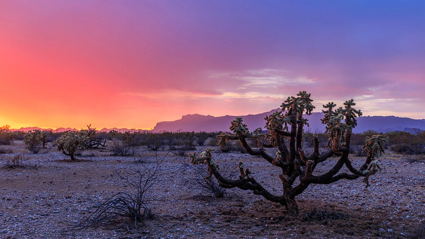 Train Full of Color Superstition Mountains Sunset, a fine art photograph by Janell Evelyn Baca