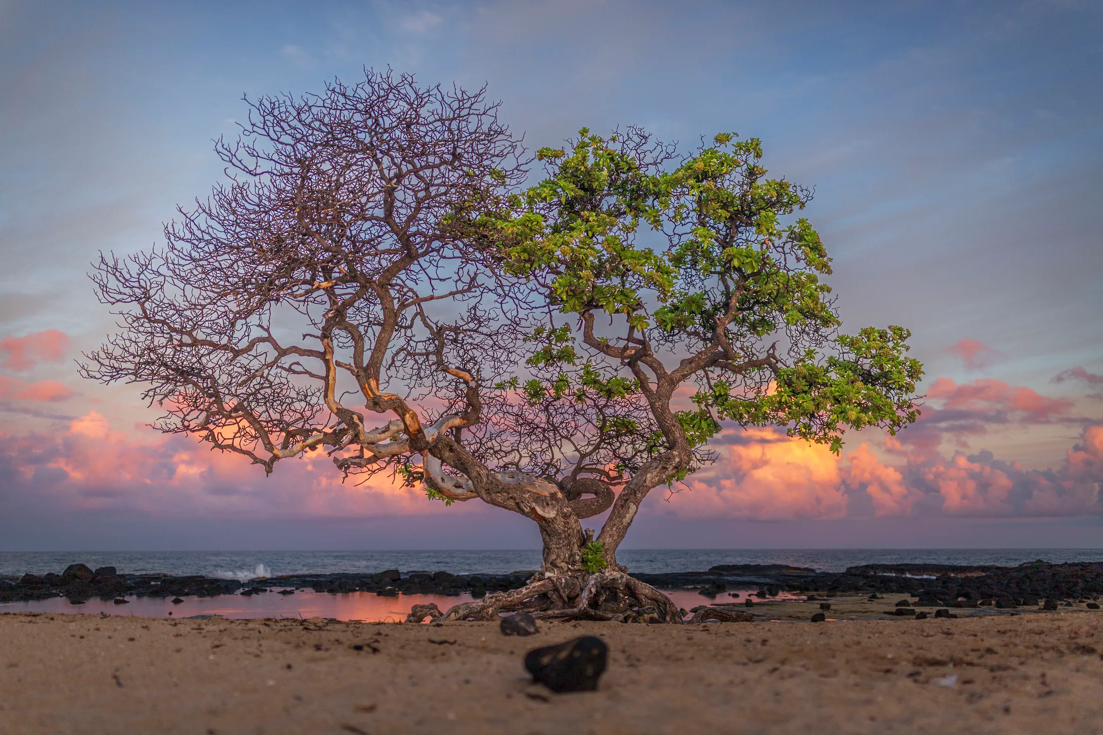 Wawaloli Beach Sunset Hawaii, ocean and lake and river and pier, a fine art photograph by Michael Joseph Baca