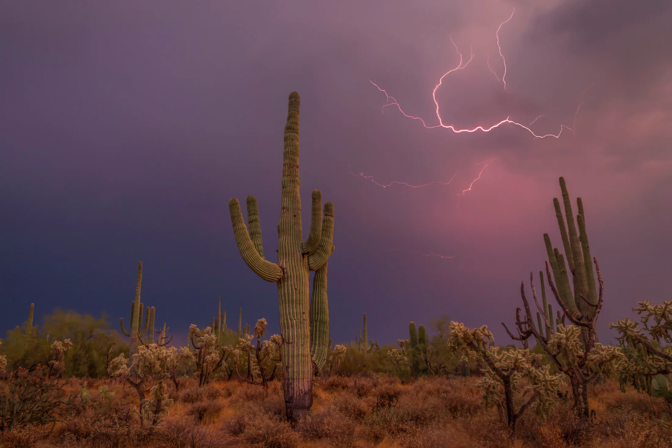 Whitlow Ranch Road Florence AZ, lightning, a fine art photograph by Michael Joseph Baca